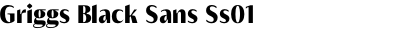 Griggs Black Sans Ss01